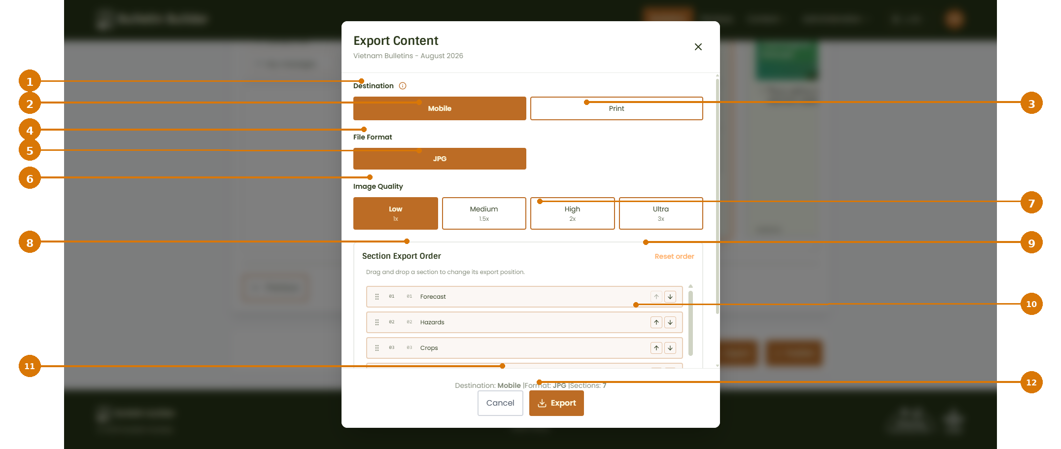 Export options